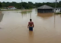 Avenida Adelmo Perdizza