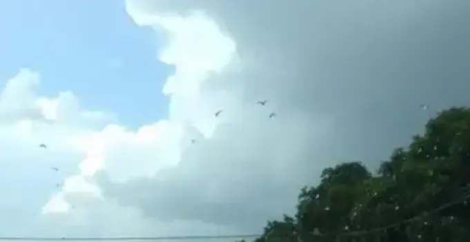 alerta de tempestade e granizo