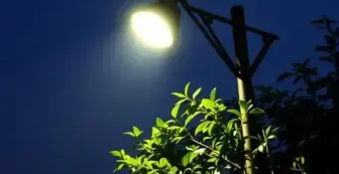 problema de iluminação em Ribeirão Preto
