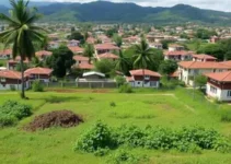 limpeza terreno Ribeirão Preto