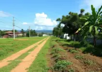 manutenção de terrenos