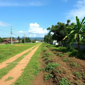 manutenção de terrenos