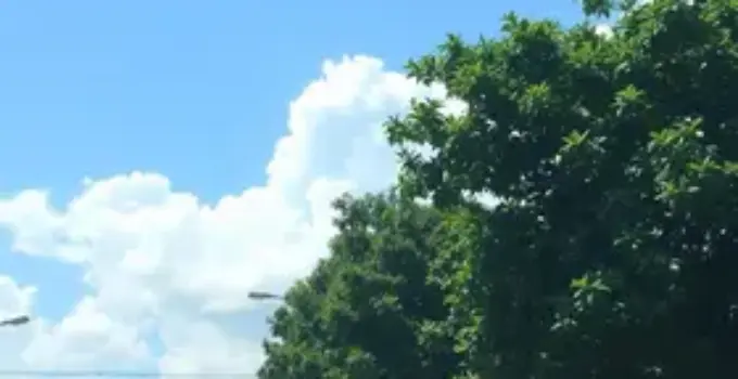 calor em Ribeirão Preto