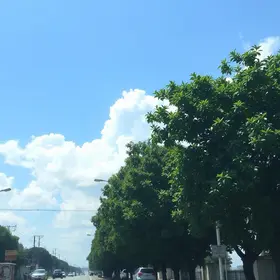 calor em Ribeirão Preto