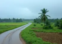 chuva e vento forte Ribeirão Preto