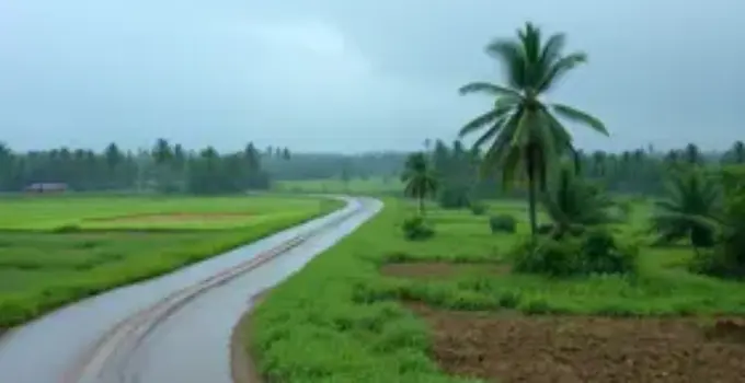 chuva e vento forte Ribeirão Preto