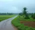 chuva e vento forte Ribeirão Preto