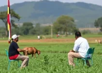 Concurso PGM Ribeirão Preto SP