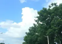 previsão do tempo em Ribeirão Preto