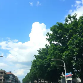 tempo em Ribeirão Preto