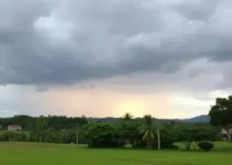 previsão do tempo em Ribeirão Preto
