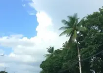 previsão do tempo em Ribeirão Preto SP