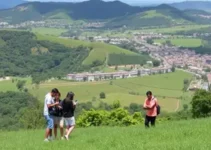 vagas de estágio em Ribeirão Preto