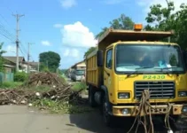 Limpeza após vendaval