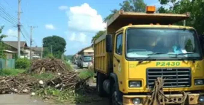 Limpeza após vendaval