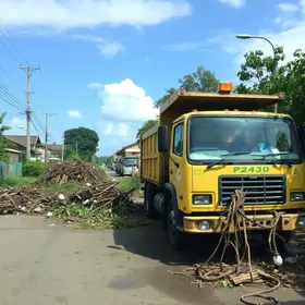 Limpeza após vendaval