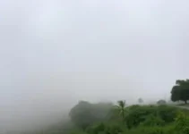 neblina em Ribeirão Preto