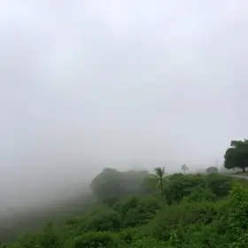 neblina em Ribeirão Preto