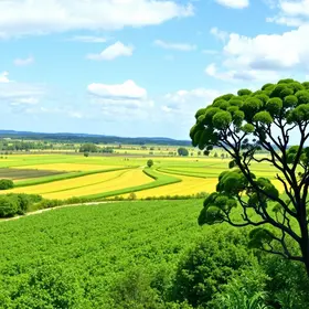 Conferência de Direito e Agronegócio