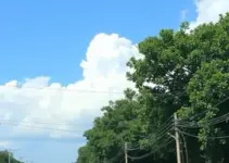 onda de calor