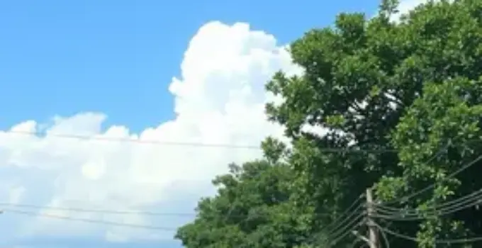 onda de calor