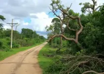 Parques fechados Ribeirão Preto