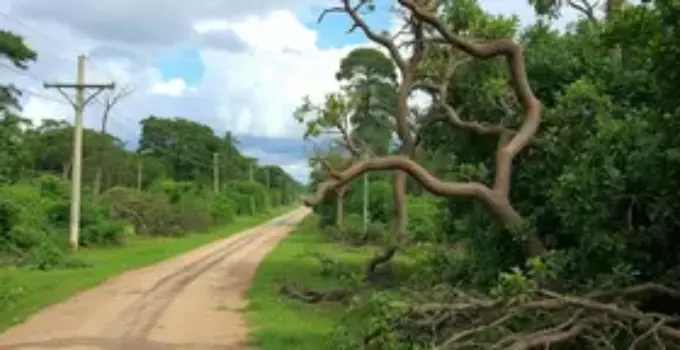 Parques fechados Ribeirão Preto