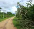 Parques fechados Ribeirão Preto