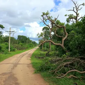 Parques fechados Ribeirão Preto