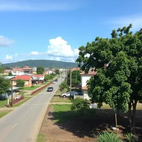 Prefeitura de Ribeirão Preto balanço de ações de recuperação