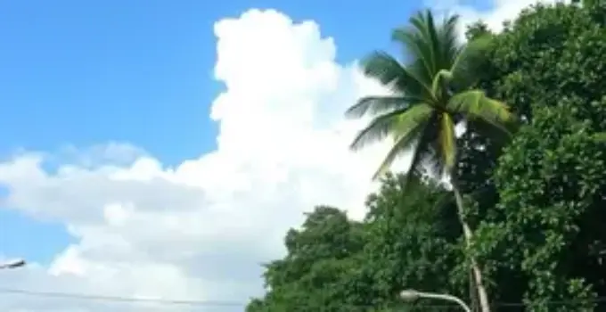 previsão do tempo em Ribeirão Preto