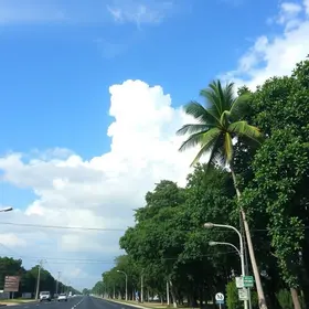 previsão do tempo em Ribeirão Preto