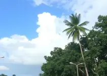 previsão do tempo em Ribeirão Preto
