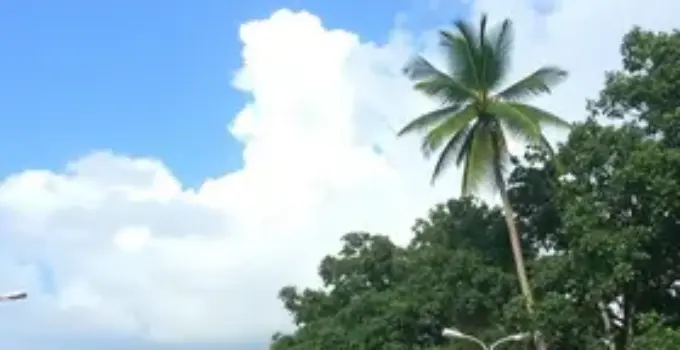 previsão do tempo em Ribeirão Preto