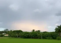 previsão do tempo em Ribeirão Preto