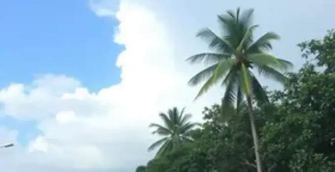 previsão do tempo em Ribeirão Preto