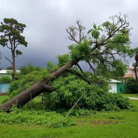 temporal Ribeirão Preto