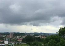 Região de Ribeirão Preto, SP