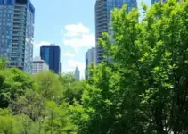 natureza urbana