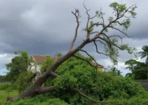 temporal em Ribeirão Preto