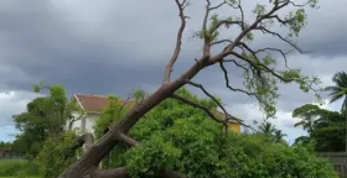 temporal em Ribeirão Preto