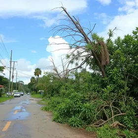 Ribeirão Preto decreta emergência após vendaval