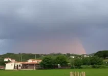 Ribeirão Preto e Franca