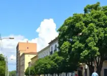 Plano Municipal de Cultura