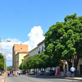 Plano Municipal de Cultura