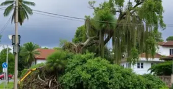 limpeza em Ribeirão Preto