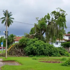 limpeza em Ribeirão Preto