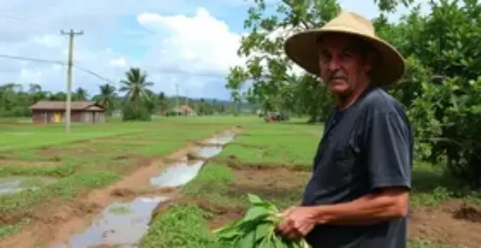 crédito emergencial para produtores rurais