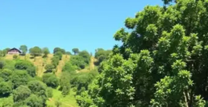 Senai Ribeirão Preto