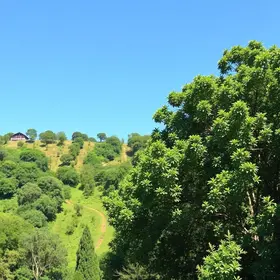 Senai Ribeirão Preto